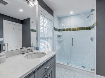 Newton, MA guest/kid's bath